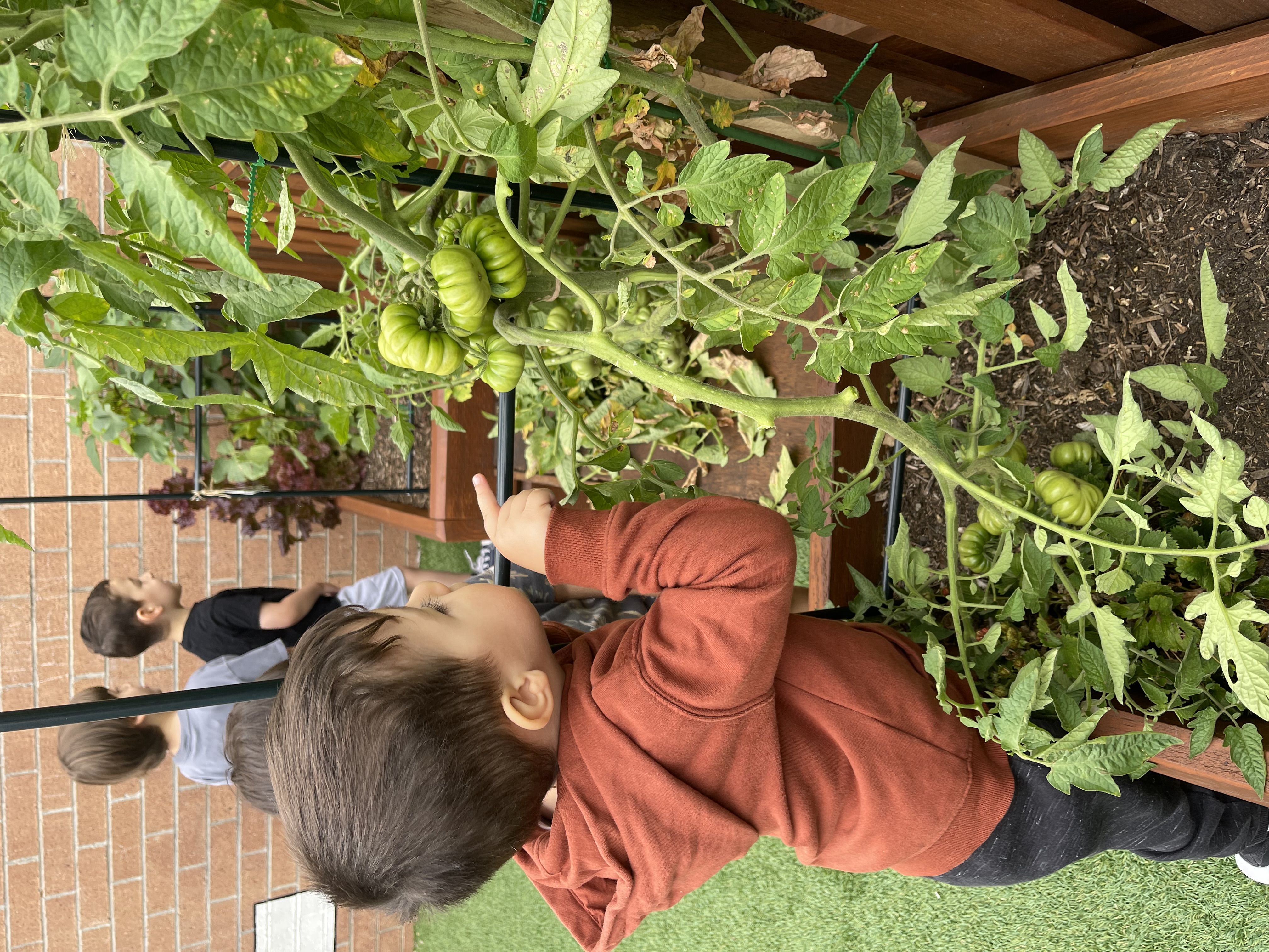 Cuddles 4 Kids childcare center student in Punchbowl participating in interactive outdoor gardening activities